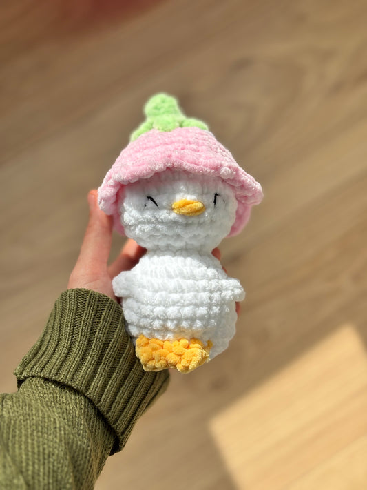 Poussin fraise